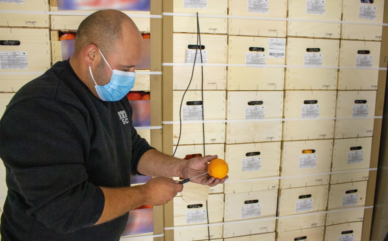 El CGC exige a la CE que investigue el alcance de los incumplimientos del tratamiento en frío a las naranjas sudafricanas