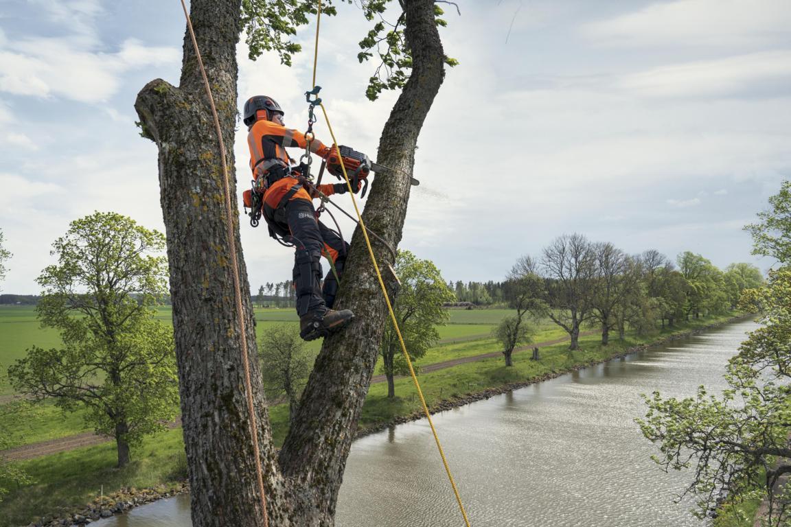 Husqvarna amplía su oferta de equipos de corte para profesionales de la arboricultura