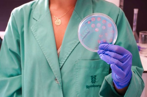 La multinacional Corteva Agriscience adquiere la empresa murciana de control biológico Symborg
