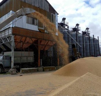 España concentra un 35% de toda la importación de cereales de la UE a países terceros