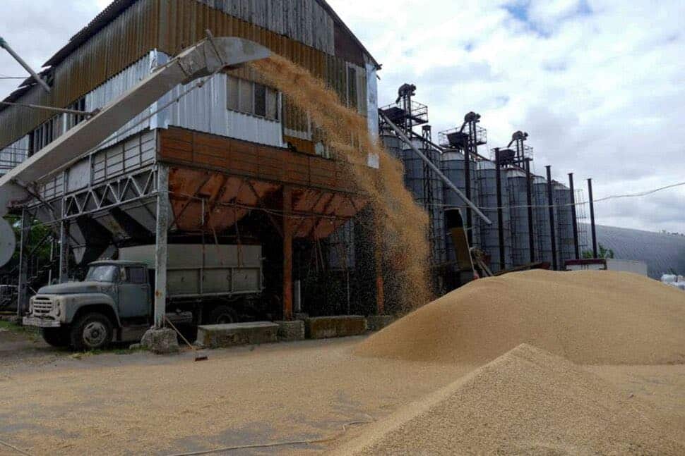 España concentra un 35% de toda la importación de cereales de la UE a países terceros