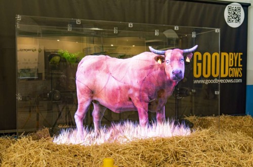 Provacuno escenifica en Salamaq las consecuencias de un mundo sin vacas