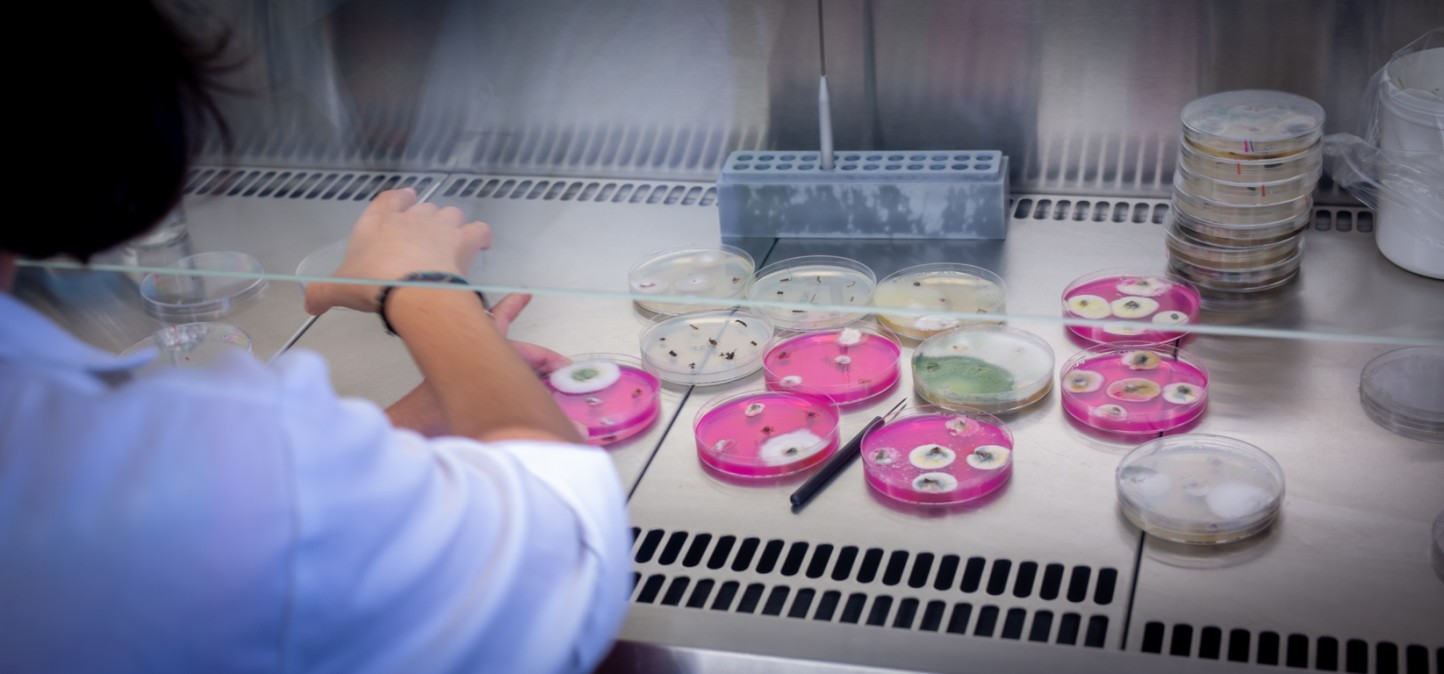 ValGenetics, laboratorio reconocido para realizar análisis fitosanitarios por Sanidad Vegetal