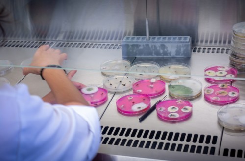 ValGenetics, laboratorio reconocido para realizar análisis fitosanitarios por Sanidad Vegetal