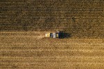 La CE estima una cosecha de cereales “excepcionalmente alta” en Rusia en la campaña actual