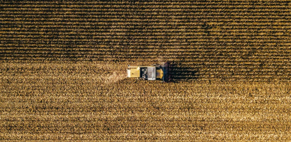 agricultura