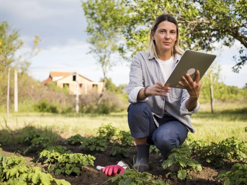 Jornada divulgativa online del MAPA sobre digitalización en el “PERTE Agroalimentario» el lunes 3 de octubre