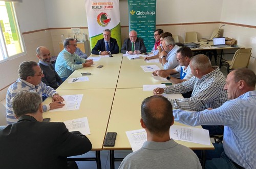 Balance rentable en el fin de campaña del melón y la sandía de Castilla-La Mancha