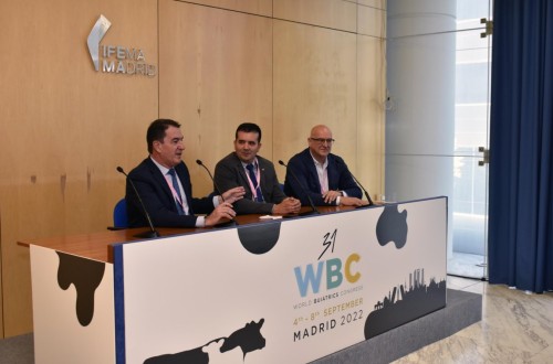 El 31º WBC de Madrid bate récords de asistencia con 3.030 inscritos