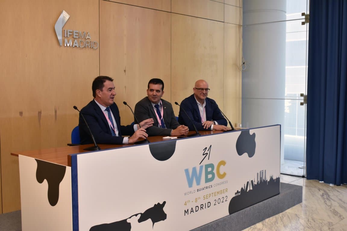 El 31º WBC de Madrid bate récords de asistencia con 3.030 inscritos