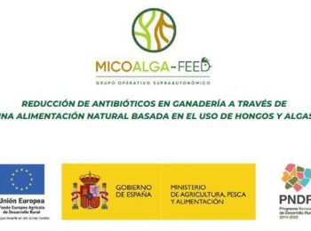 Reducción de antibióticos en ganadería a través de una alimentación natural basada en el uso de hongos y algas