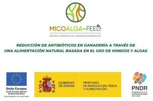 Reducción de antibióticos en ganadería a través de una alimentación natural basada en el uso de hongos y algas