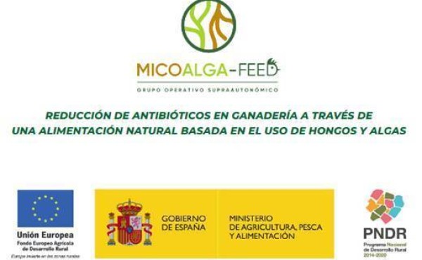 Reducción de antibióticos en ganadería a través de una alimentación natural basada en el uso de hongos y algas