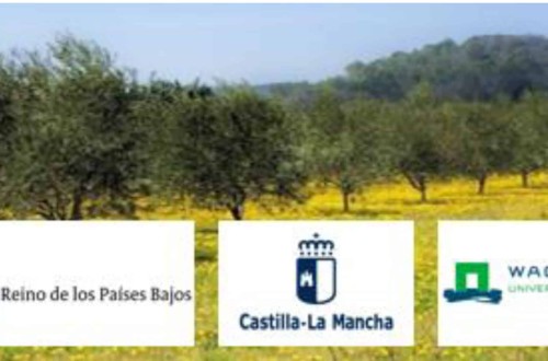 Jornada en Toledo sobre las cubiertas vegetales en olivar como instrumento de la PAC