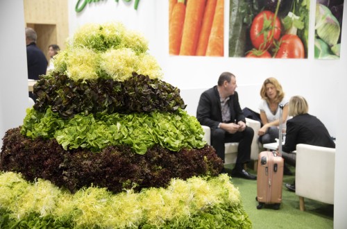 La 14 edición de Fruit Attraction contará con la presencia de 1.700 expositores, un 38% más