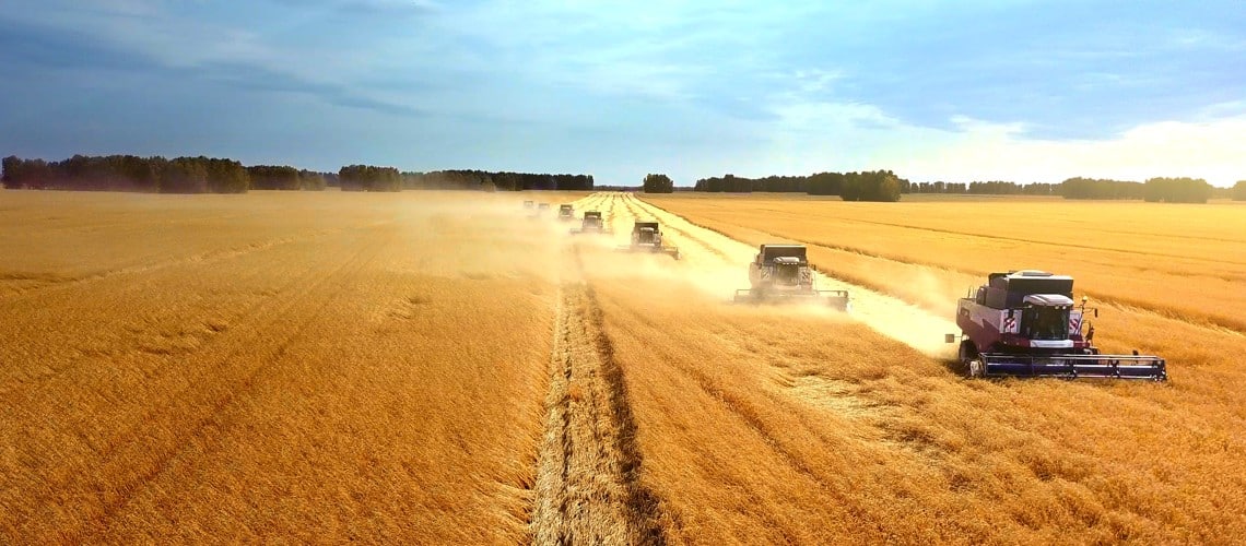 El agro prevé un descenso de 20 Mt de la cosecha de cereales 2022/23 en la Unión Europea