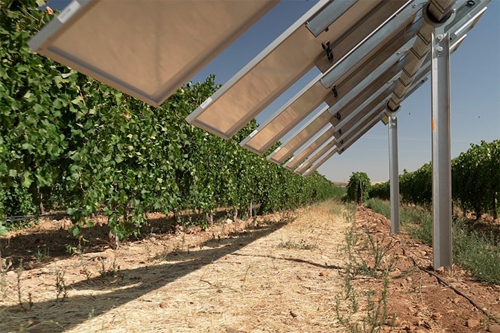 Iberdrola pone en marcha en Toledo «Winesolar», la primera planta agro-voltaica inteligente de España