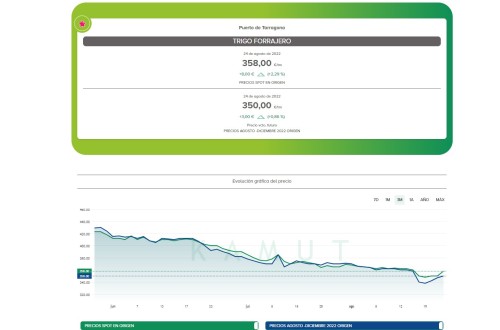 Kamut: nueva herramienta para digitalizar la información de los precios diarios del mercado agrario