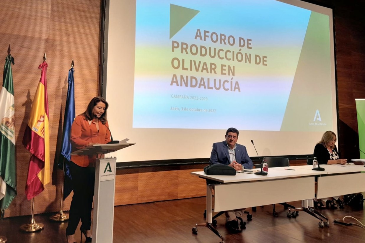 La producción de aceite de oliva caerá en Andalucía casi un 50% hasta 587.000 t por la sequía