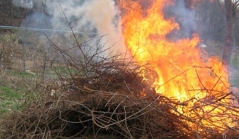COAG pide al Gobierno una moratoria de dos años en la aplicación de la ley que prohíbe quemar restos agrícolas vegetales