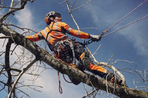 Husqvarna presenta una nueva gama de equipos de escalada para profesionales de la arboricultura