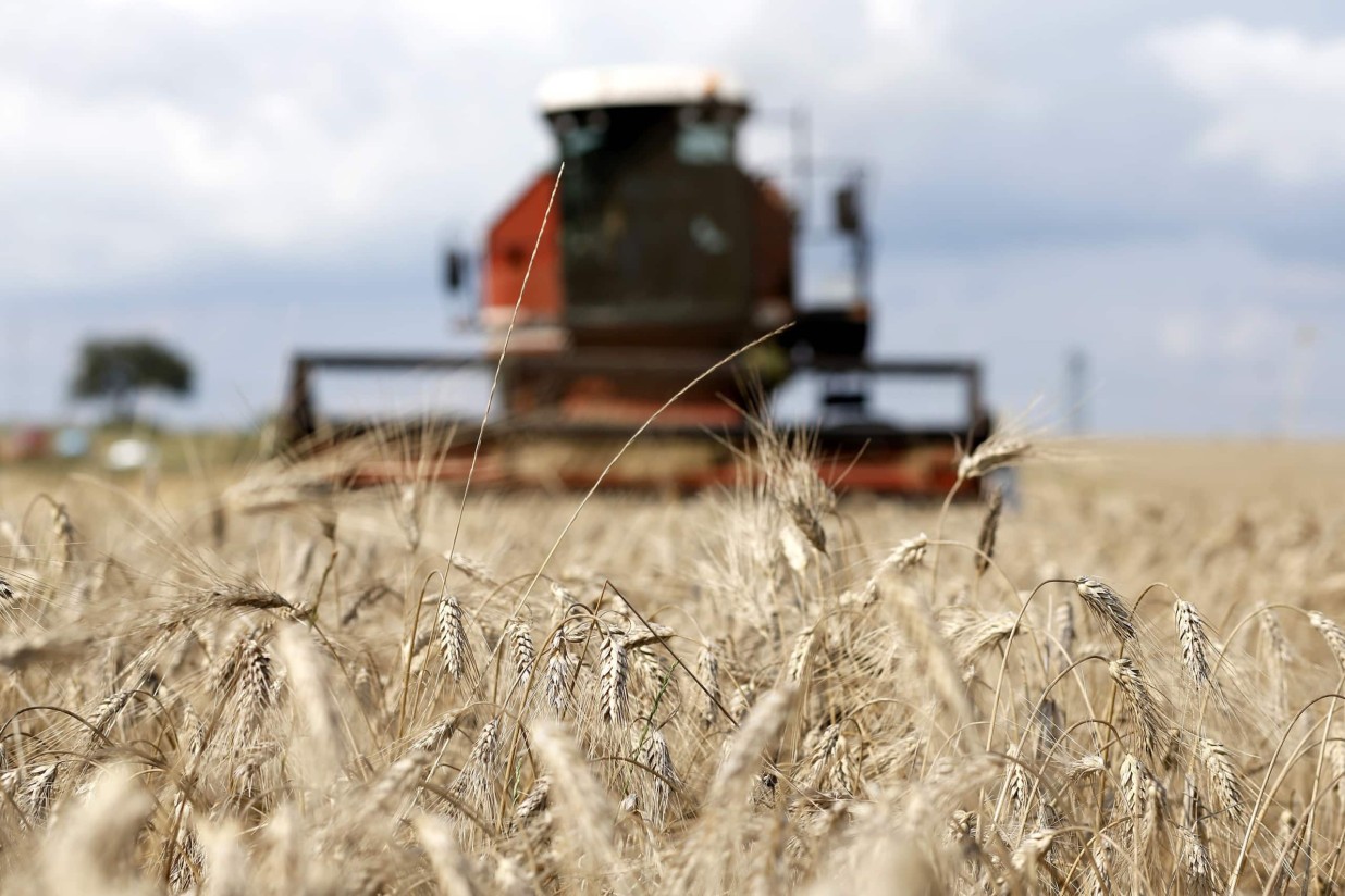 El CIC prevé que la producción mundial de cereales será la segunda mayor de la historia en 2022/23