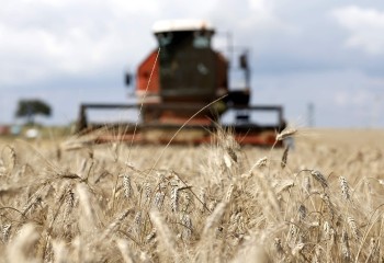 El CIC prevé que la producción mundial de cereales será la segunda mayor de la historia en 2022/23