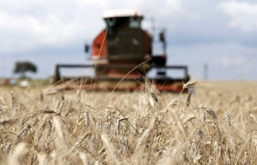 El CIC prevé que la producción mundial de cereales será la segunda mayor de la historia en 2022/23