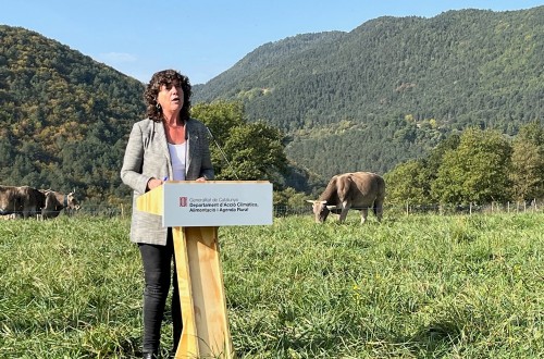 Cataluña impulsará contratos a rebaños que pasten para prevenir incendios y mejorar la biodiversidad
