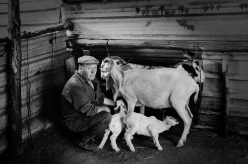 Celebremos el Día Mundial de los Animales mejorando su bienestar