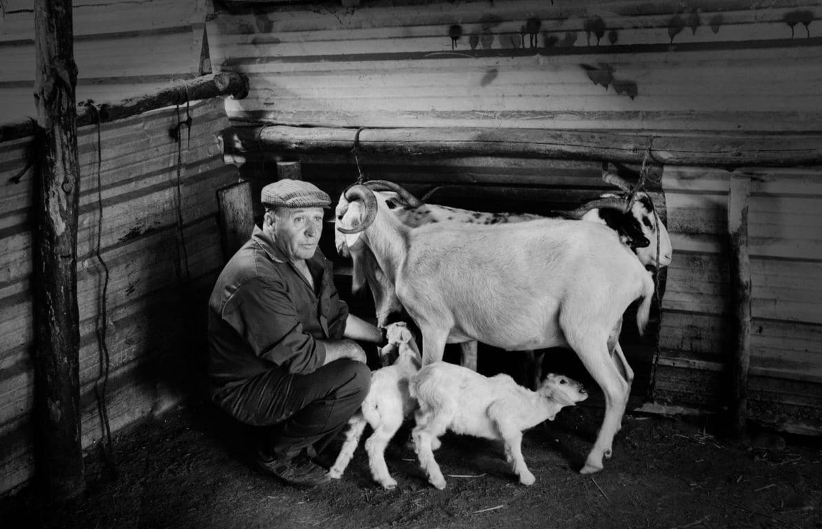 Celebremos el Día Mundial de los Animales mejorando su bienestar