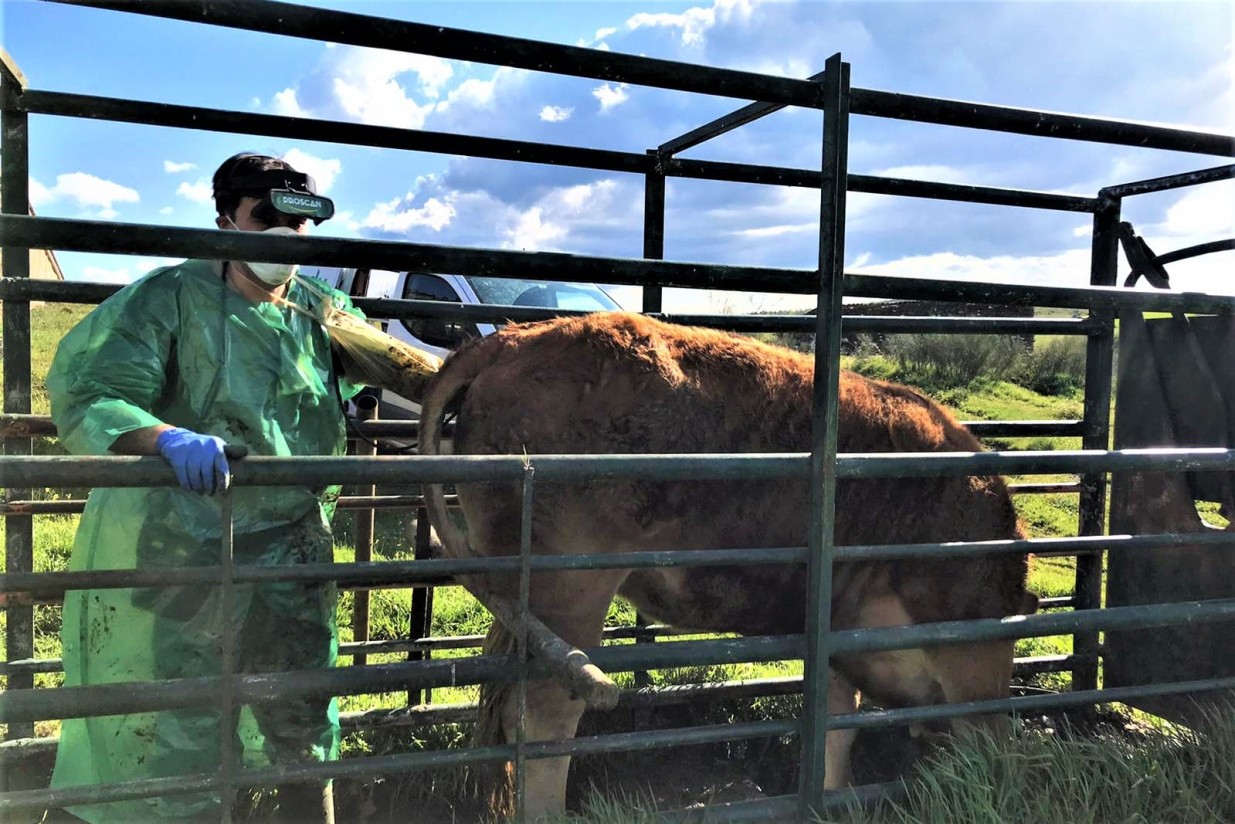 Oposición de 23 países a que Bruselas recorte un 40% los fondos para cofinanciar la sanidad animal y vegetal