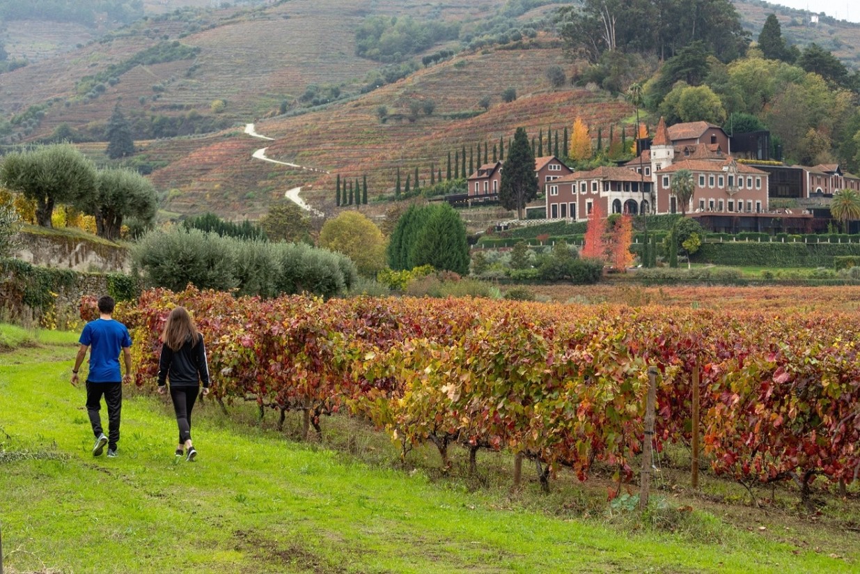 La masa vegetal plantada de viñedo de uva de vinificación marcó un mínimo de 937.781 ha al final de 2021/22