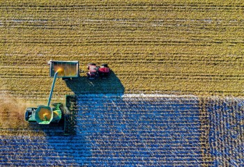 La CE espera que los mercados agrícolas crezcan el 1,1% para 2025 y el 1,5% para 2026