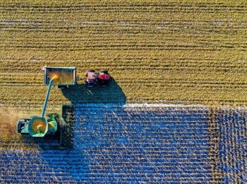 El PIB agrícola sube un 0,3% interanual en el último trimestre de 2023