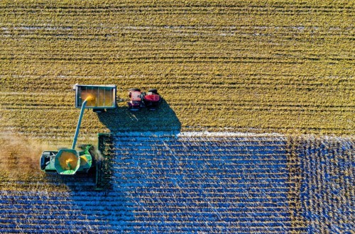 El PIB agrícola sube un 0,3% interanual en el último trimestre de 2023