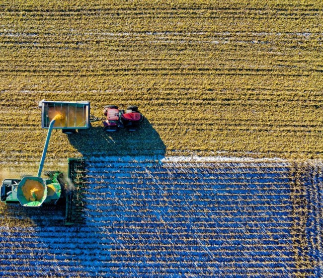 El PIB agrícola sube un 0,3% interanual en el último trimestre de 2023