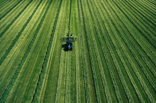 Ampliado el plazo para la concesión de ayudas al fomento de la competitividad y modernización del sector agrario