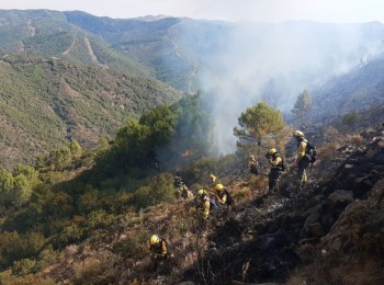 Asaja pide revisar las políticas forestales y habilitar ayudas directas a los afectados por incendios