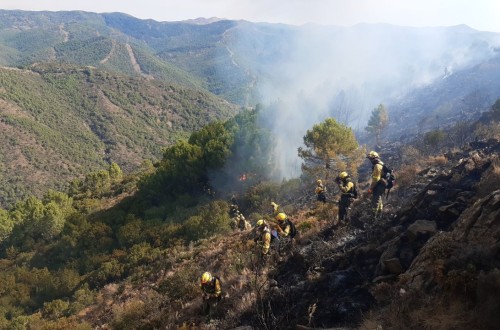 Asaja pide revisar las políticas forestales y habilitar ayudas directas a los afectados por incendios
