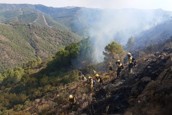 Asaja pide revisar las políticas forestales y habilitar ayudas directas a los afectados por incendios