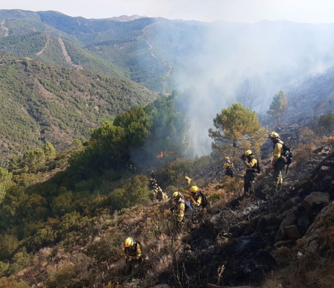 Asaja pide revisar las políticas forestales y habilitar ayudas directas a los afectados por incendios