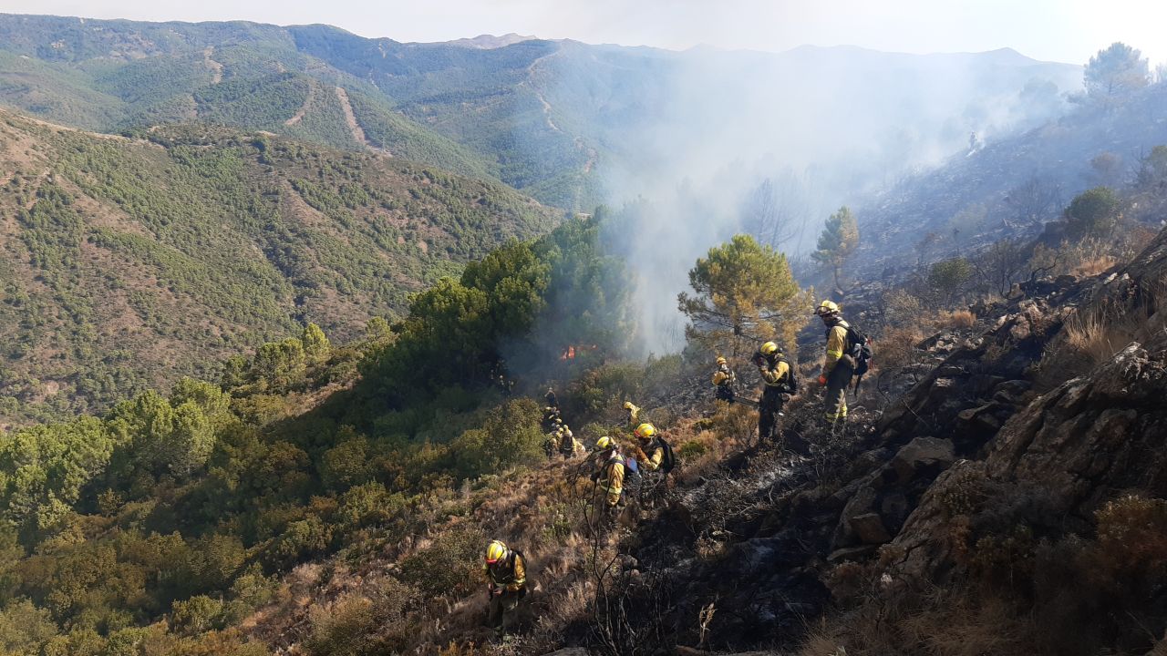 El Gobierno regula a nivel nacional la situación laboral de los bomberos forestales y de los agentes medioambientales