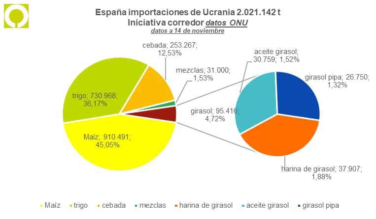 España supera ya los 2 Mt de cereales y girasol importados de Ucrania a través del corredor humanitario