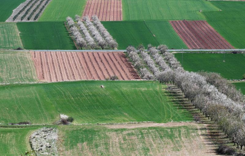 El desafío del nitrógeno. Por Joaquín Olona Blasco