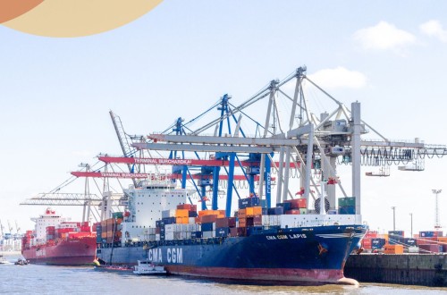 Las empresas cárnicas conocen el nuevo protocolo SAE para la exportación