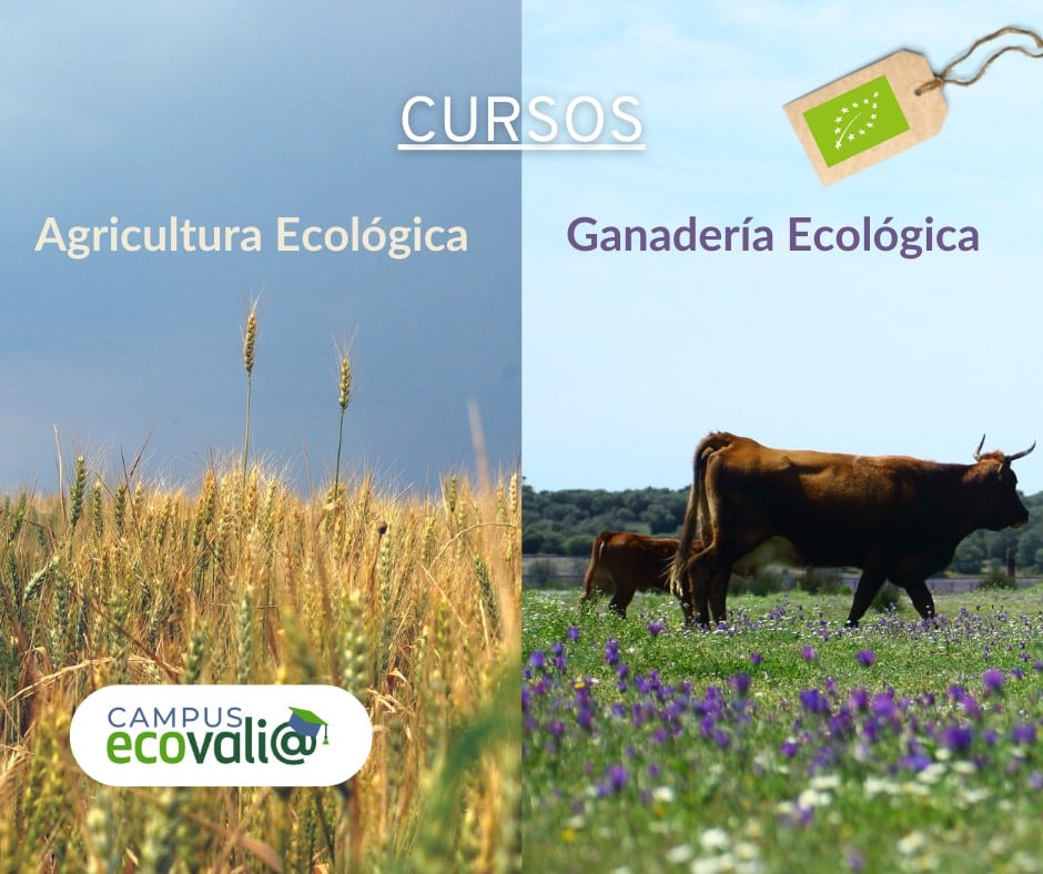 Ecovalia lanza dos cursos online sobre agricultura y ganadería ecológicas