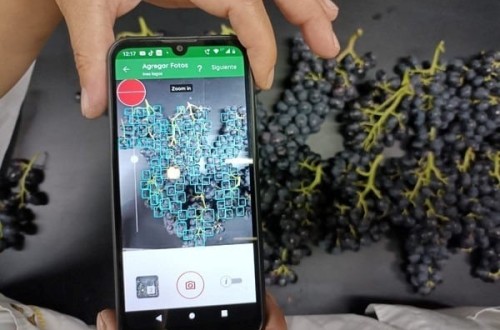 Kubota invierte en Clarifruit, empresa especializada en control de calidad de frutas y hortalizas