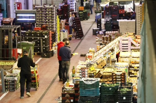 La exportación española de frutas y hortalizas crece un 5% hasta marzo y las importaciones suben un 15%