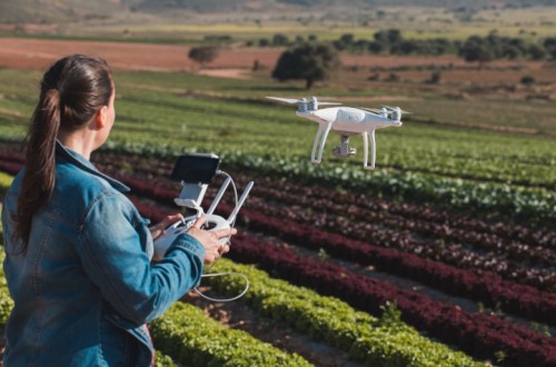 El paro agrario registrado bajó un 8,5% y en 11.351 personas en octubre pasado